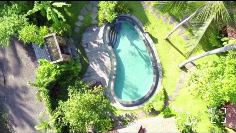 Villa Sindu Ubud Værelse billede