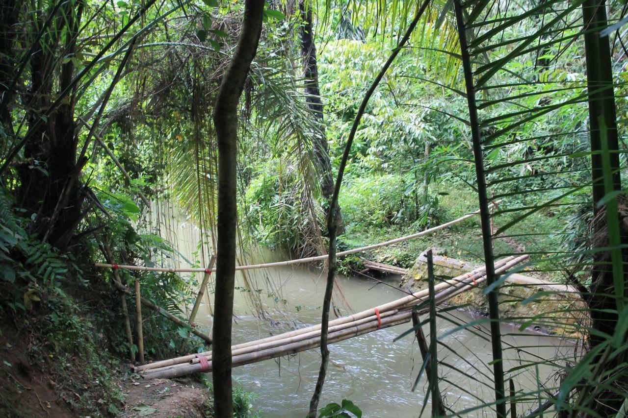 Villa Sindu Ubud Eksteriør billede
